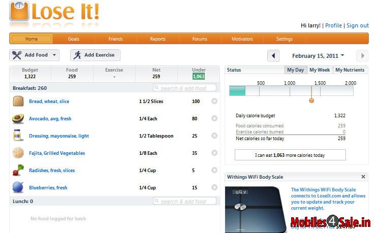 LoseIt App on iPhone LoseIt App on iPhone